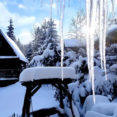 Bed & Breakfast Biesiada 3*