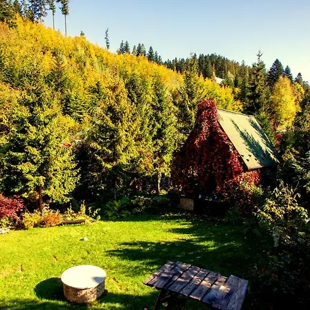 Bed & Breakfast Biesiada