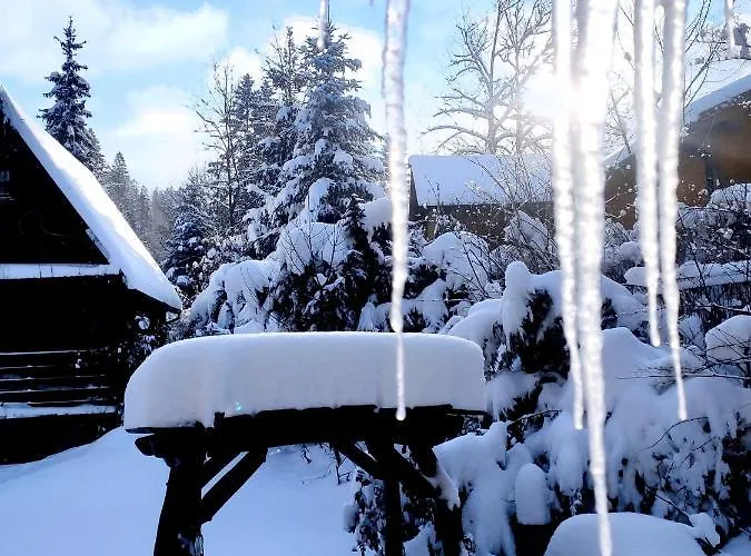 فندق مبيت وإفطار Biesiada 3*