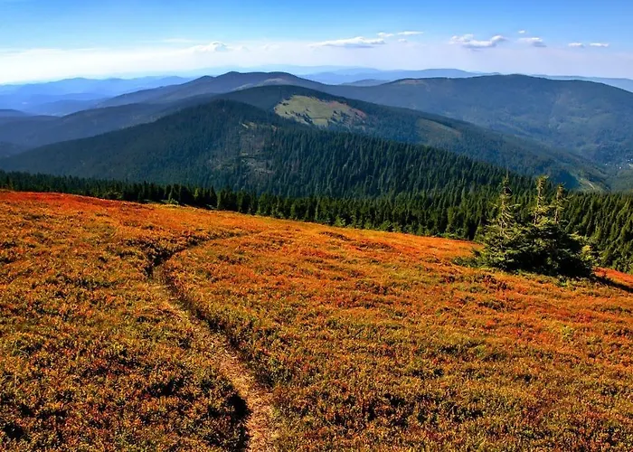 Biesiada كوربييلوف